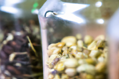 The Importance of Seed Banks